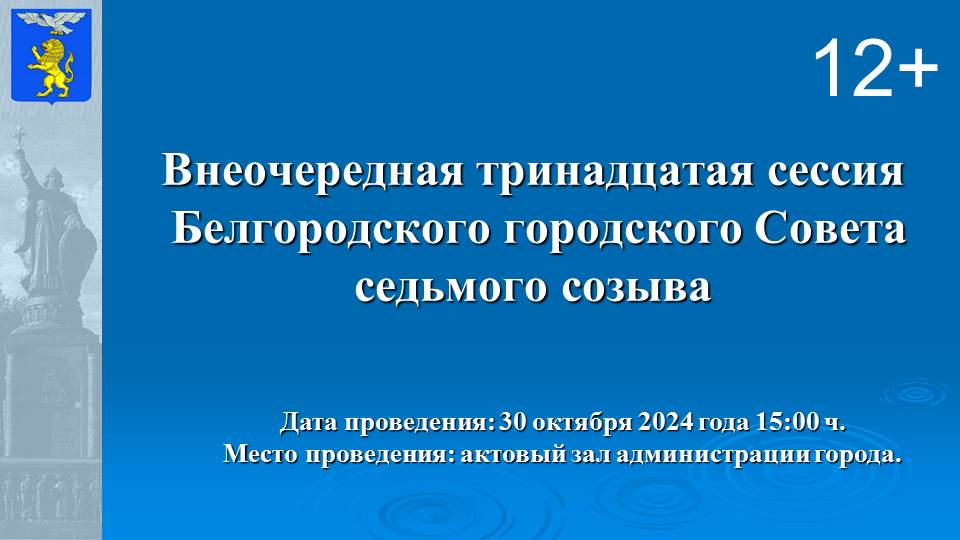 Внеочередная сессия Белгородского городского Совета.