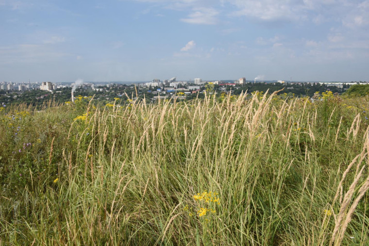 «Банк земли» Белгородской области в 2023 году пополнился 933 участками площадью более 1100 га.