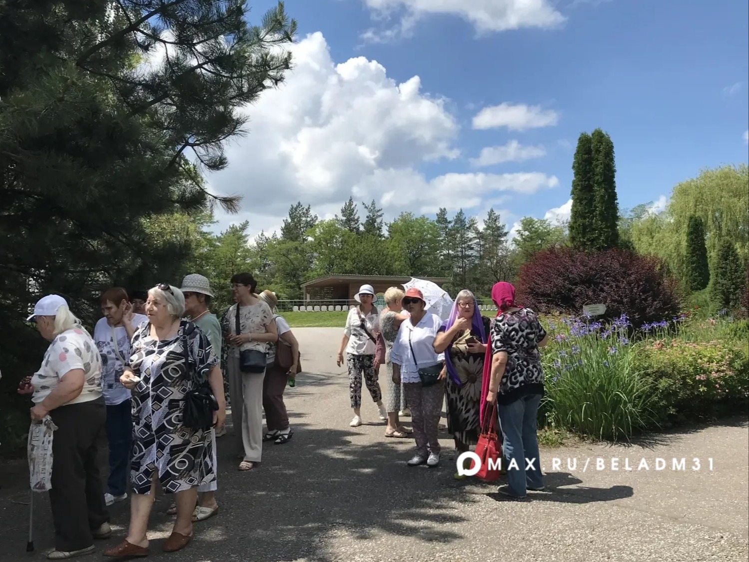 Активисты и председатели ТОС Белгорода посетили школу № 49 и ботанический сад НИУ БелГУ.