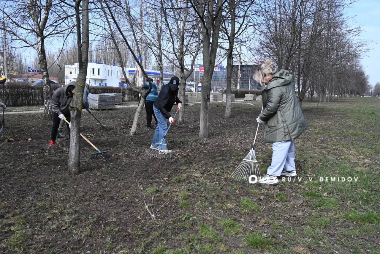 Как стать участником субботников в Белгороде?.