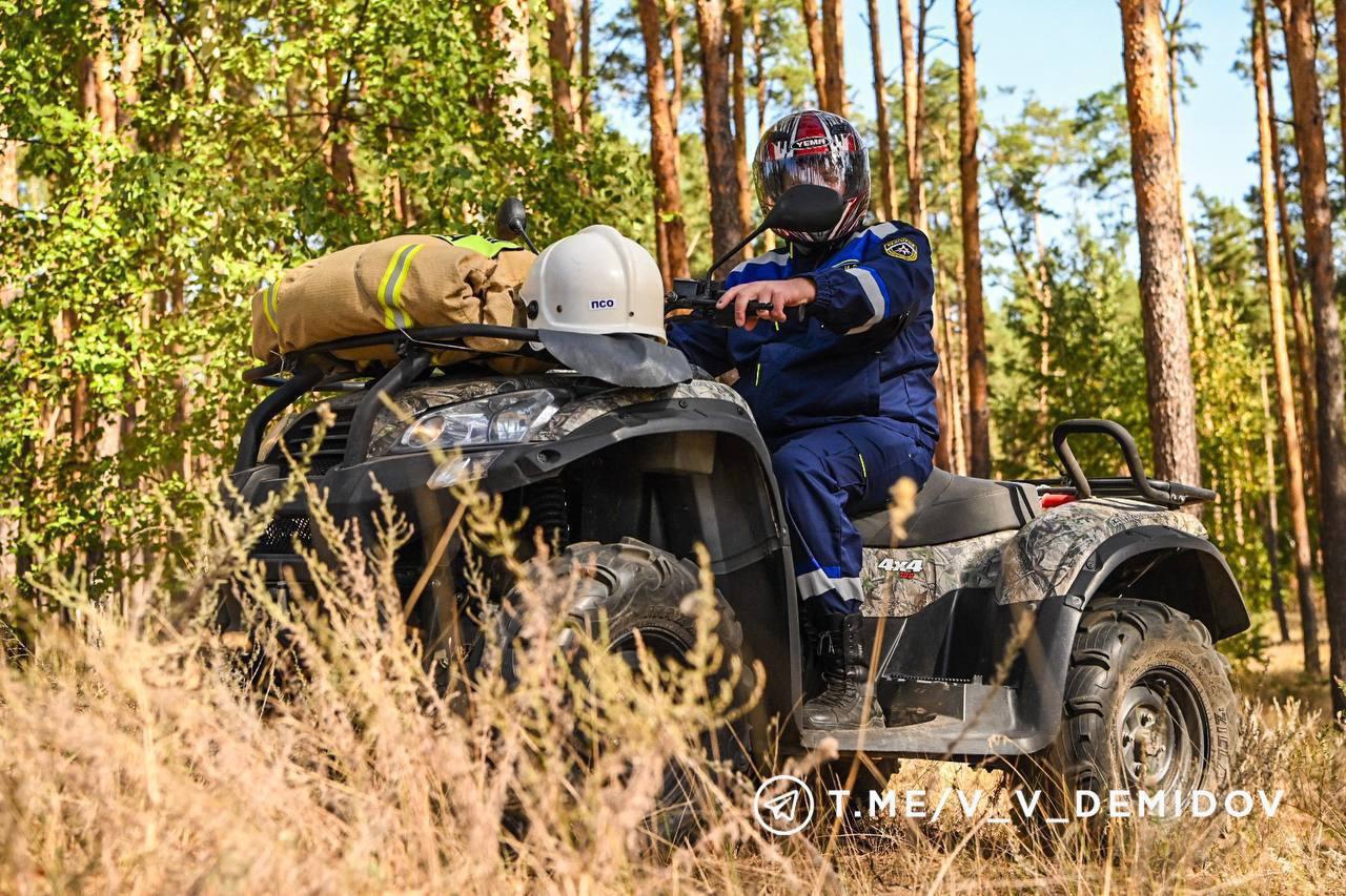 В Белгороде патрулируют лесной массив в Сосновке, чтобы не допустить возникновения ландшафтного пожара.