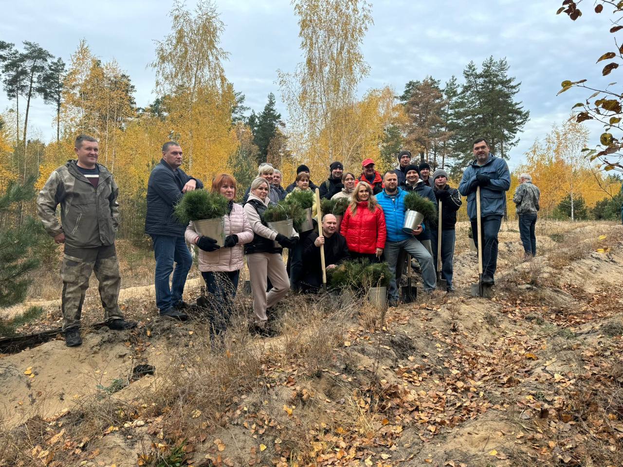 В Белгороде проводят работы по лесовосстановлению.