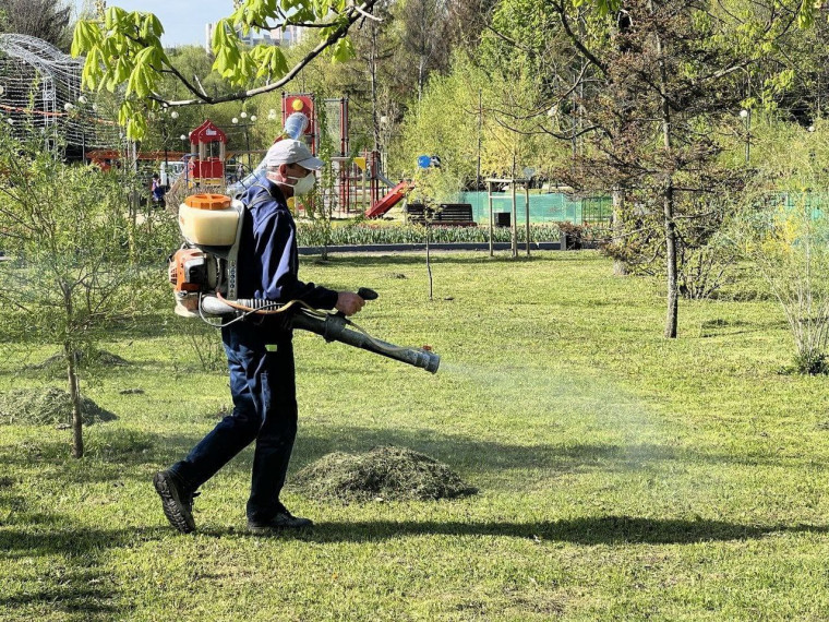 17 мая городские пляжи обработают от клещей. 17 мая городские пляжи обработают от клещей.