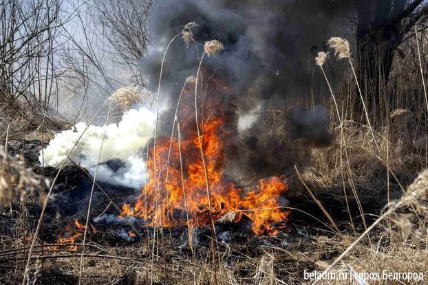 В Белгороде ликвидировали горение сухой травы.