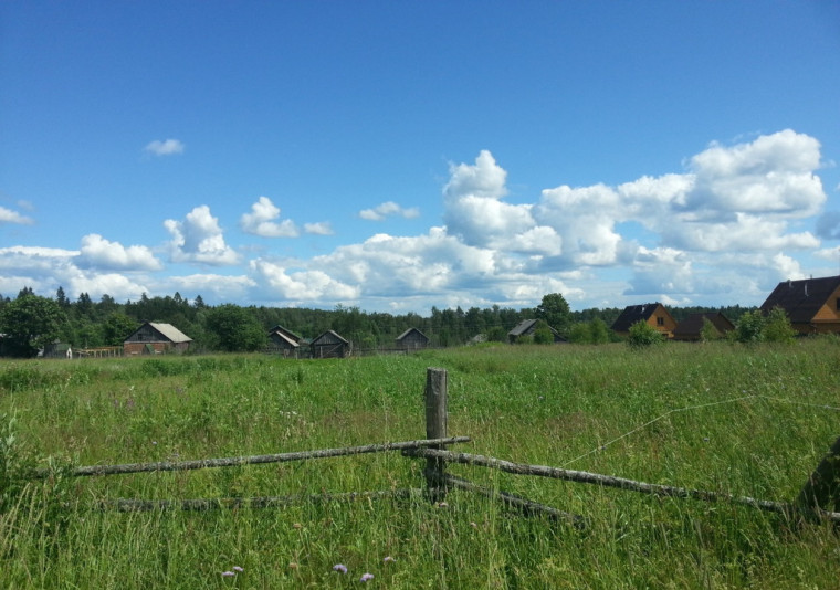 Утвержден перечень мероприятий по приведению земельных участков в состояние, пригодное для их использования по целевому назначению.