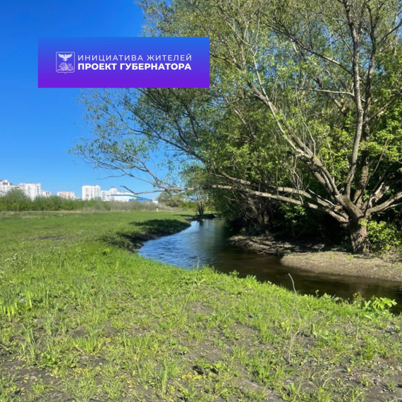 Белгородцы могут выбрать водный объект для расчистки в 2027 году.