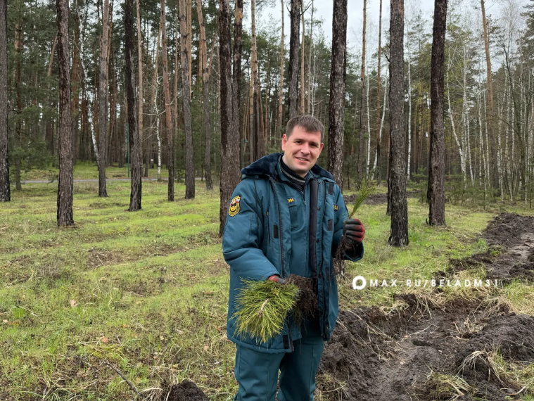 В Белгороде стартовала акция «Сад памяти».
