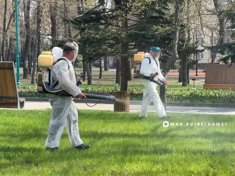 Сегодня в Белгороде начали акарицидную обработку общественных пространств.