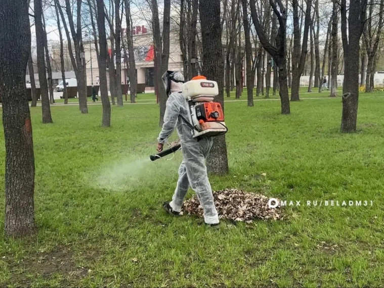 В Белгороде обрабатывают общественные пространства от клещей.