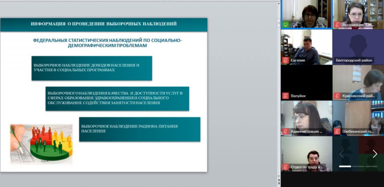 Совет мунобразований области и Белгородстат провели онлайн-семинар.