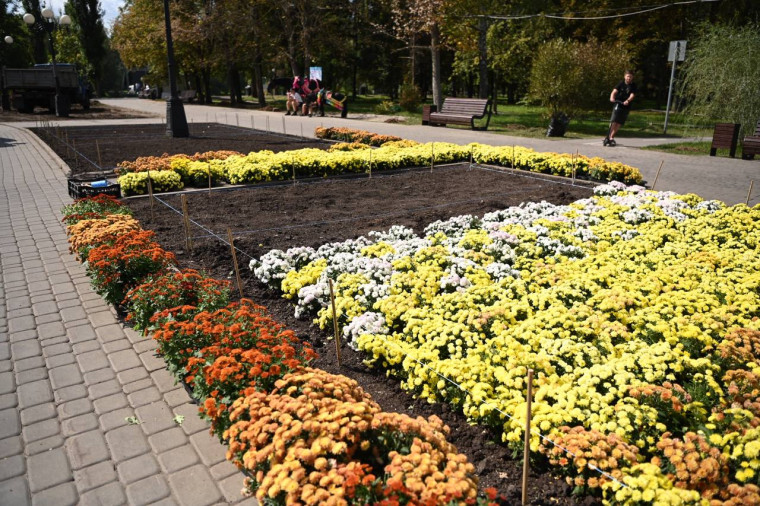 В парке Победы приступили к созданию самого масштабного «Белого сада» в рамках проекта «Белгород в цвету».