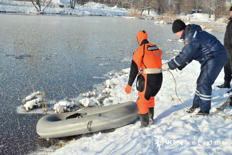 Спасатели Белгорода освободили из ледяного плена лебедя.