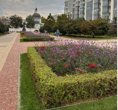 Нарциссы, гиацинты и мускари украсят улицы Белгорода весной этого года.