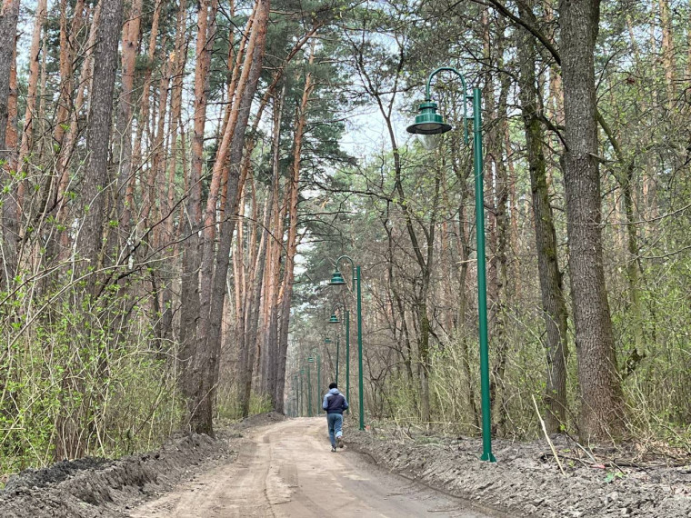 В Сосновке готовят к открытию живописную дистанцию для бега общей протяженностью 5,5 км.
