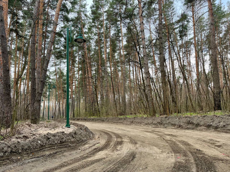 В Сосновке готовят к открытию живописную дистанцию для бега общей протяженностью 5,5 км.