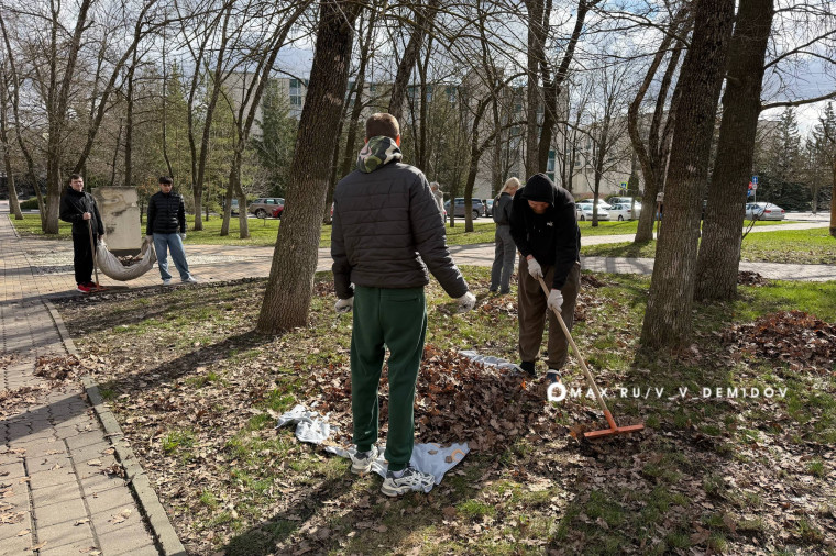 Сегодня в субботнике приняли участие около 250 белгородцев.