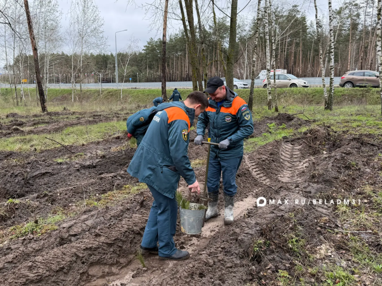 В Белгороде стартовала акция «Сад памяти».