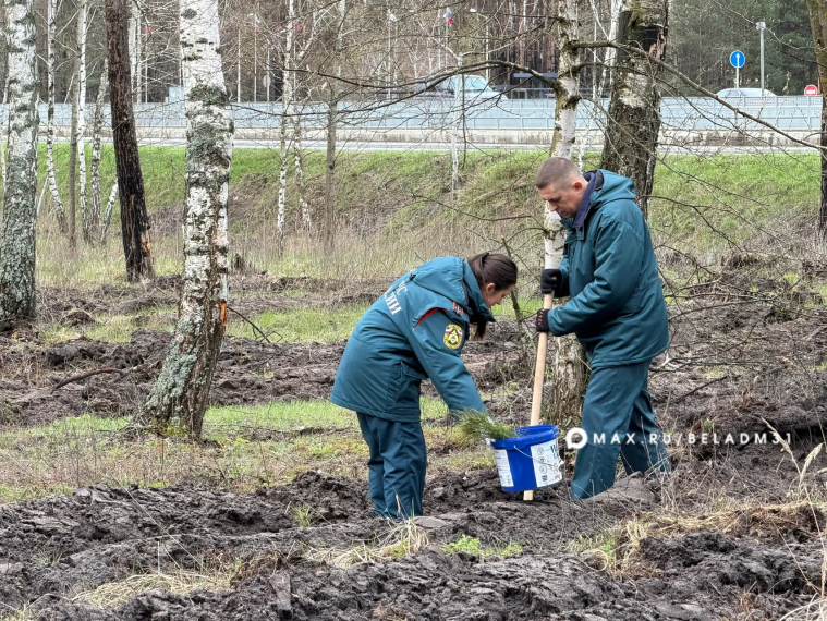 В Белгороде стартовала акция «Сад памяти».