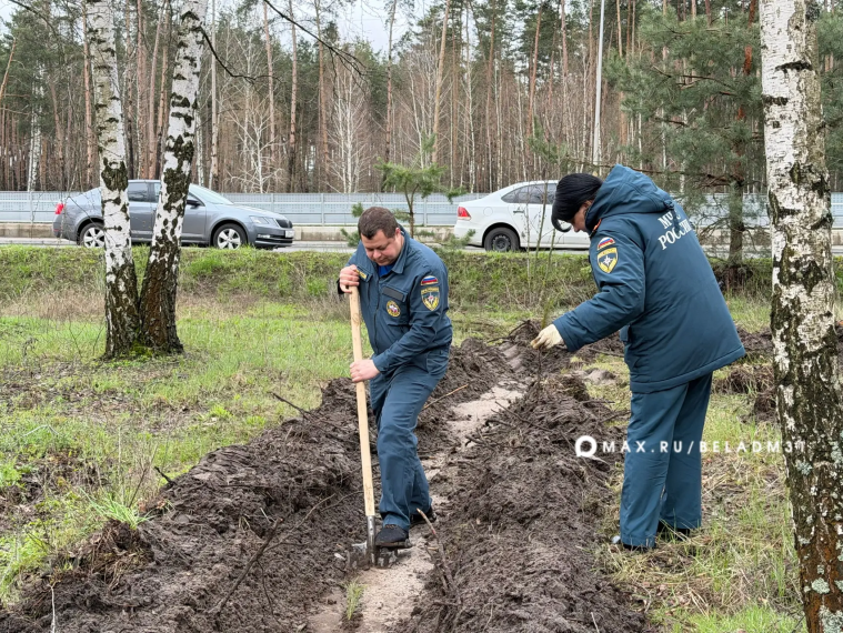 В Белгороде стартовала акция «Сад памяти».