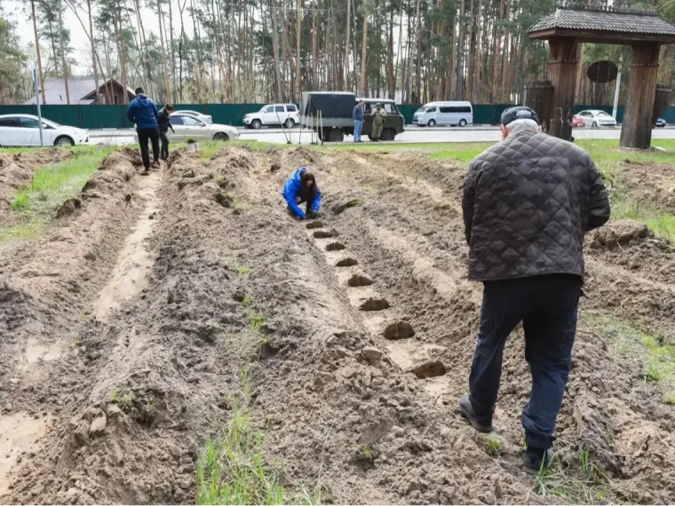 Вчера к Всероссийской эколого-патриотической акции «Сад памяти» присоединились энергетики .