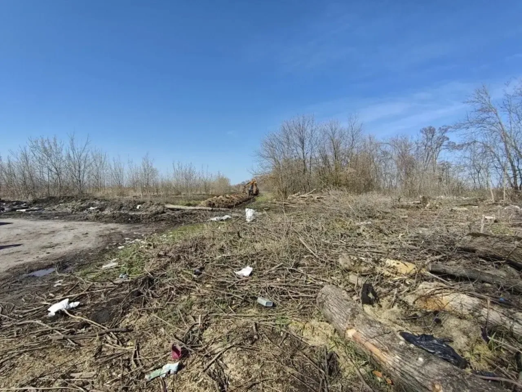Белгород присоединился к ежегодной экологической акции.