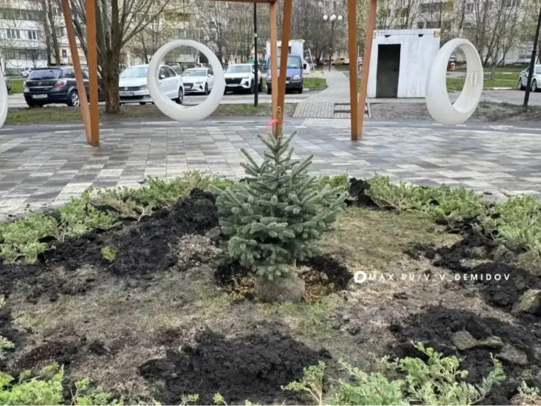 Белгород присоединился к Всероссийскому субботнику.