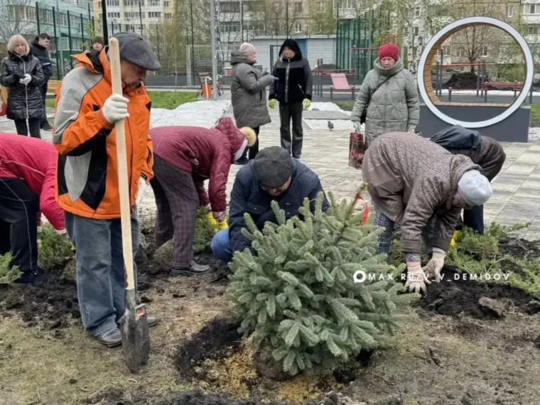 Белгород присоединился к Всероссийскому субботнику.