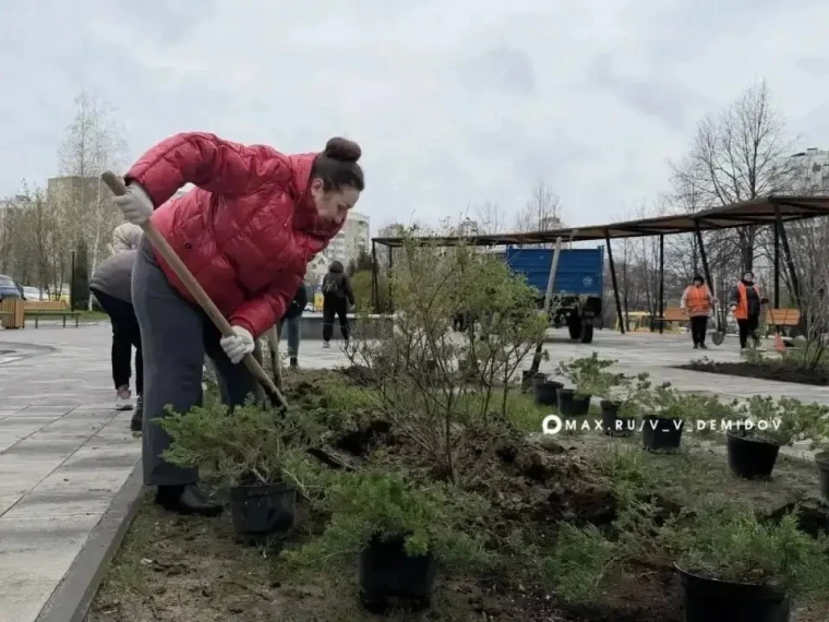 Белгород присоединился к Всероссийскому субботнику.